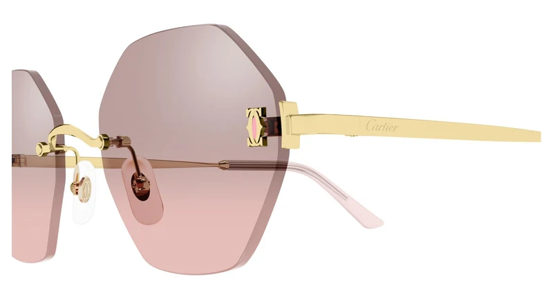 Cartier CT0671S 004 54