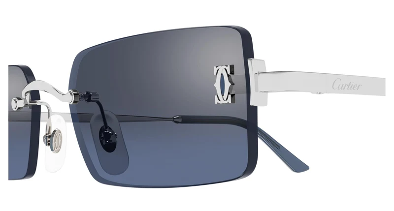 Cartier CT0672S 002 54
