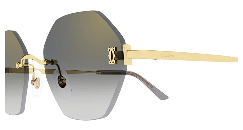 Cartier CT0671S 001 54
