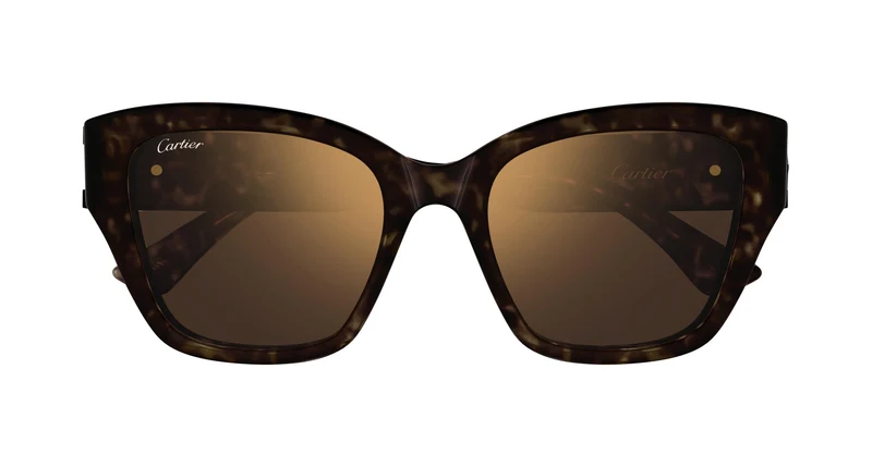 Cartier CT0666S 002 53