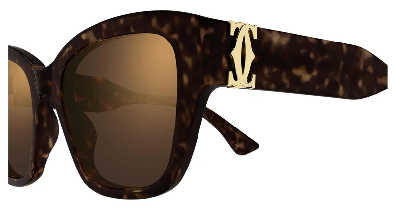 Cartier CT0666S 002 53