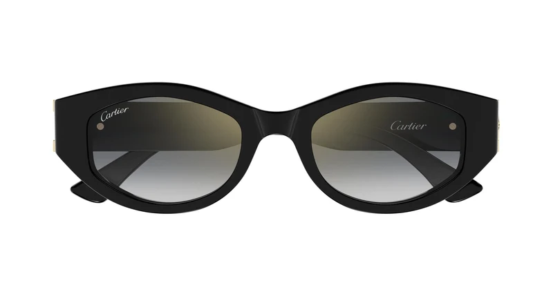Cartier CT0667S 001 51