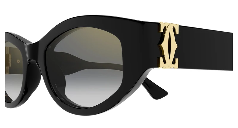 Cartier CT0667S 001 51
