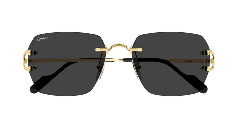 Cartier CT0664S 001 59