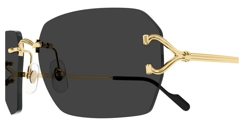 Cartier CT0664S 001 59