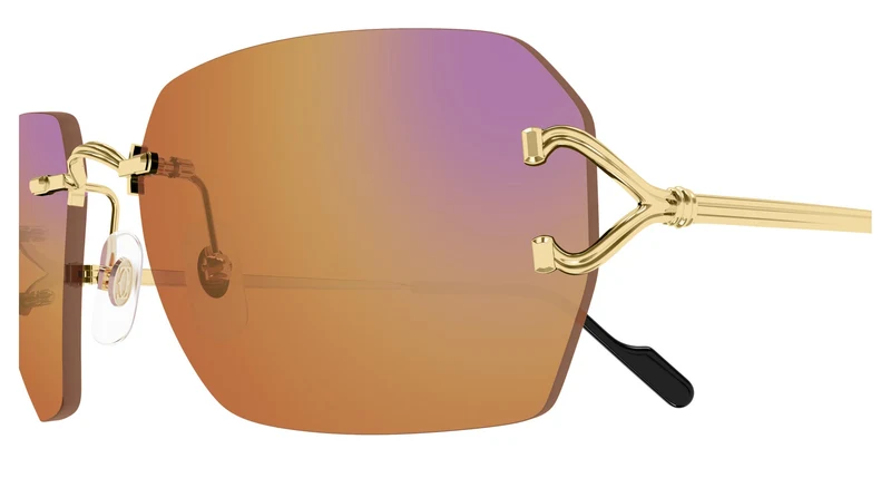Cartier CT0664S 004 59