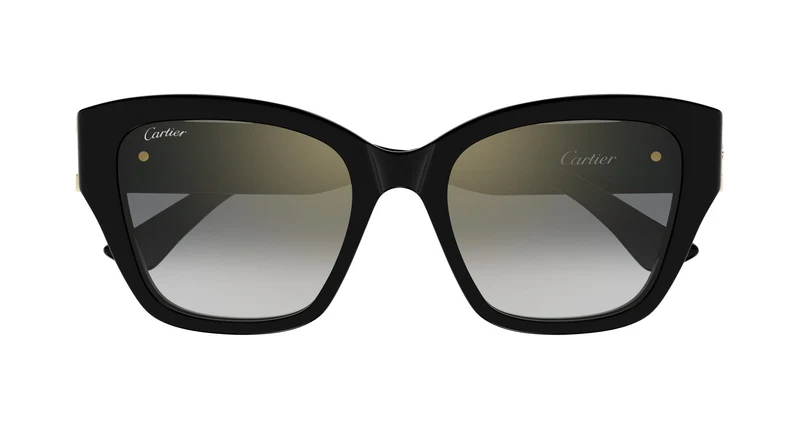 Cartier CT0666S 001 53