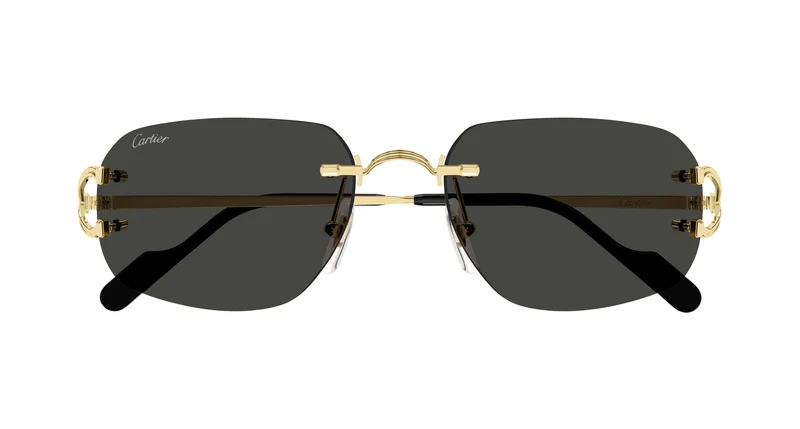 Cartier CT0663S 001 58