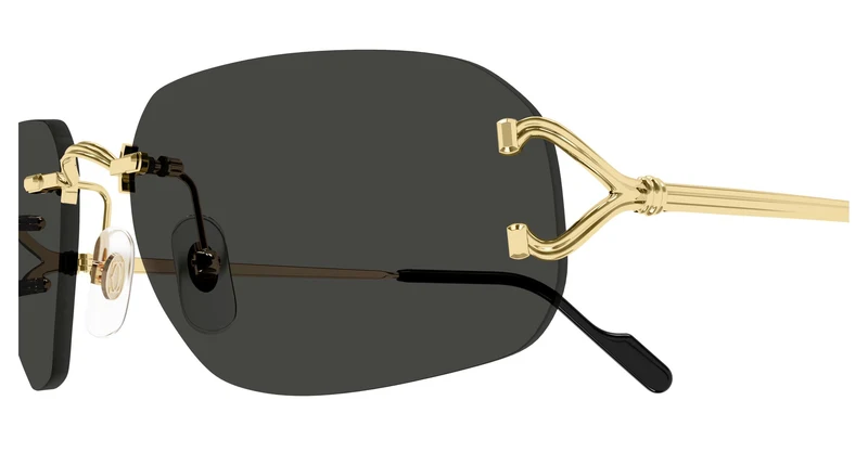 Cartier CT0663S 001 58