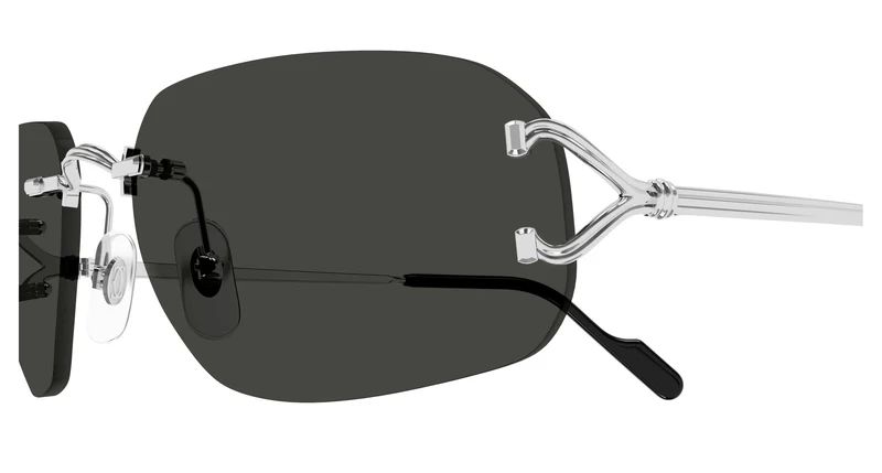 Cartier CT0663S 002 58
