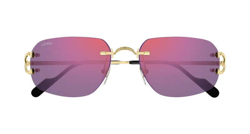 Cartier CT0663S 003 58