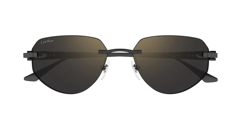 Cartier CT0661S 001 54