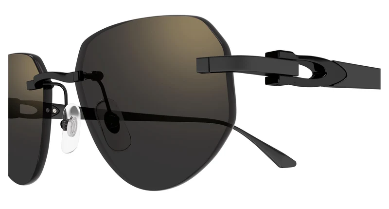 Cartier CT0661S 001 54