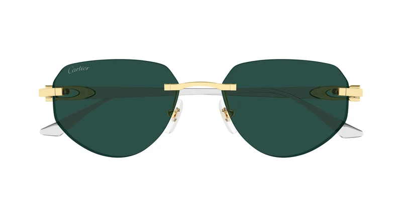 Cartier CT0661S 002 54