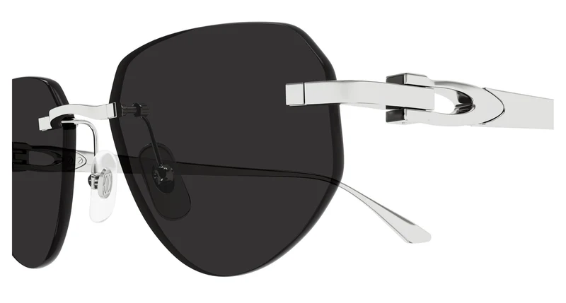 Cartier CT0661S 003 54