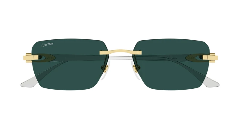 Cartier CT0660S 002 55