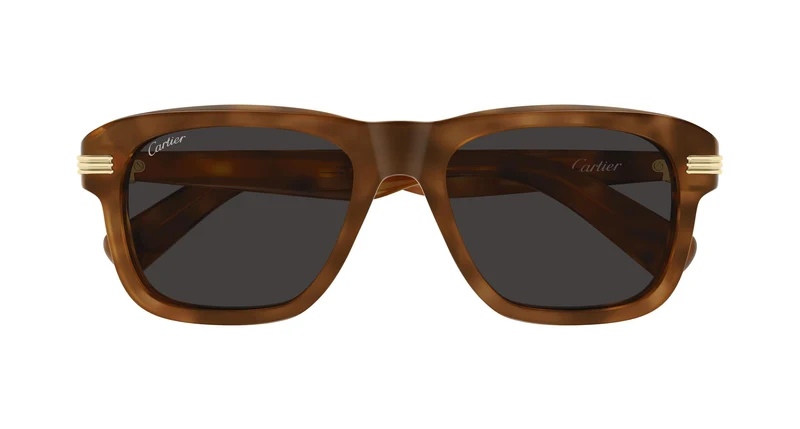 Cartier CT0657S 004 55