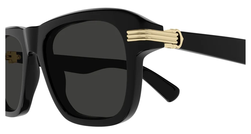 Cartier CT0657S 001 55