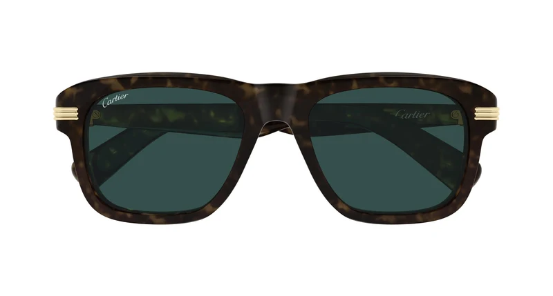 Cartier CT0657S 002 55