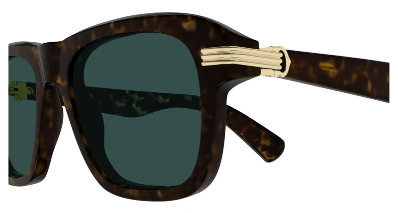 Cartier CT0657S 002 55