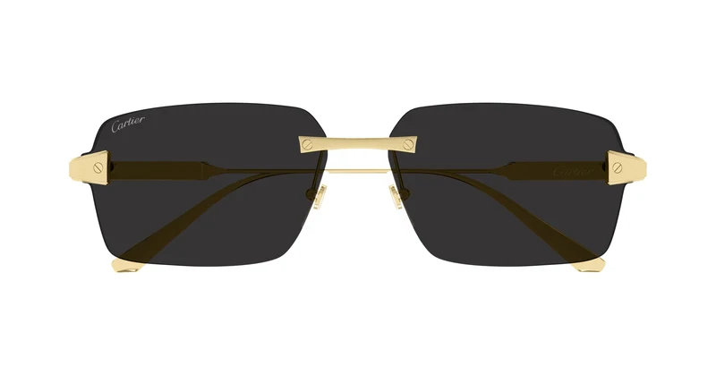 Cartier CT0652S 001 63