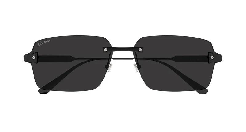 Cartier CT0652S 003 63