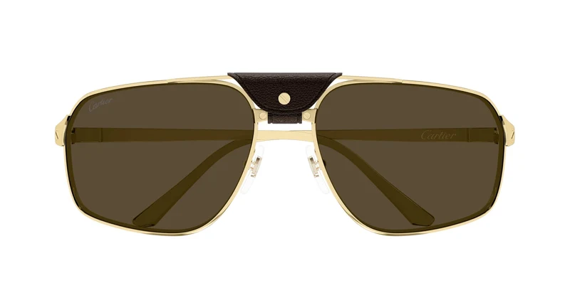 Cartier CT0651S 003 64