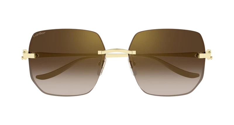 Cartier CT0549S 005 57