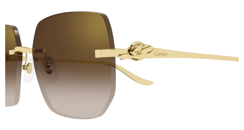 Cartier CT0549S 005 57
