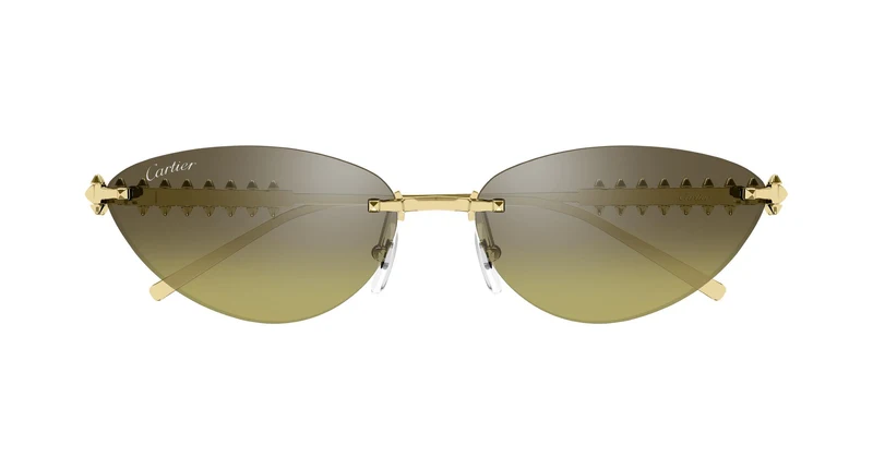 Cartier CT0543S 006 58