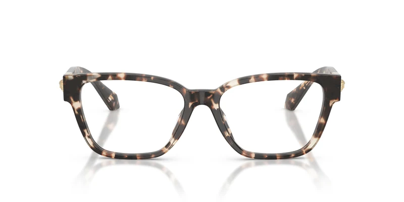 Versace VE3401U 5498 54