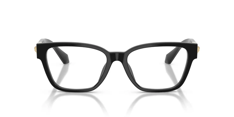 Versace VE3401U GB1 54