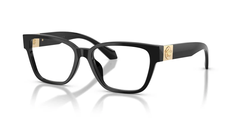 Versace VE3401U GB1 52