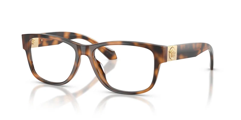 Versace VE3403U 5264 54