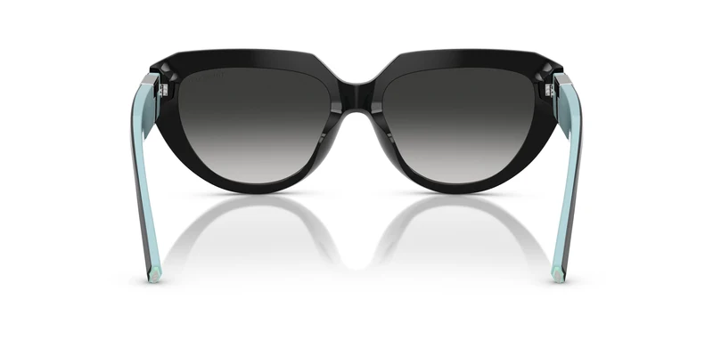 Tiffany TF4238U 84653C 55