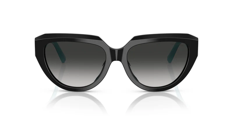 Tiffany TF4238U 84653C 55