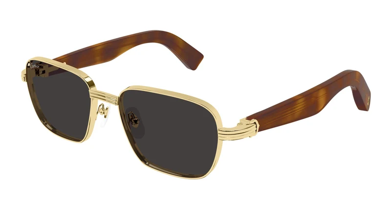 Cartier CT0538S 011 53