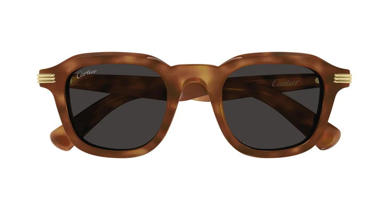 Cartier CT0536S 006 49