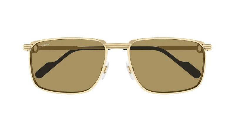 Cartier CT0534S 004 59