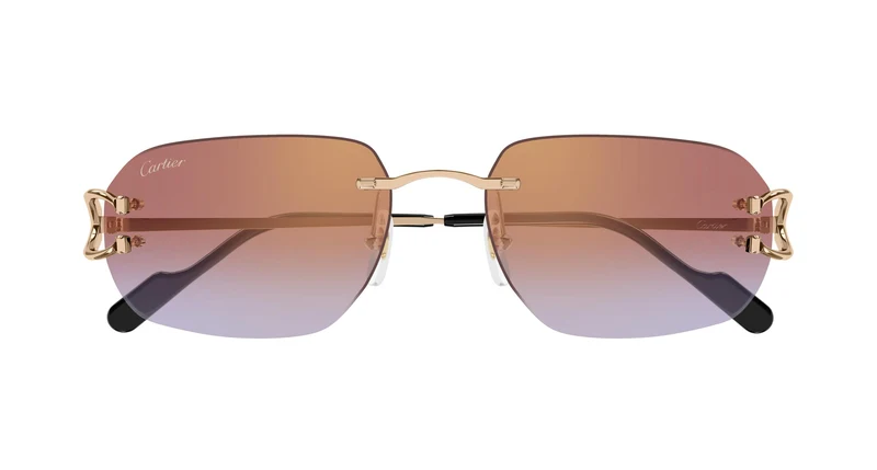 Cartier CT0468S 005 58