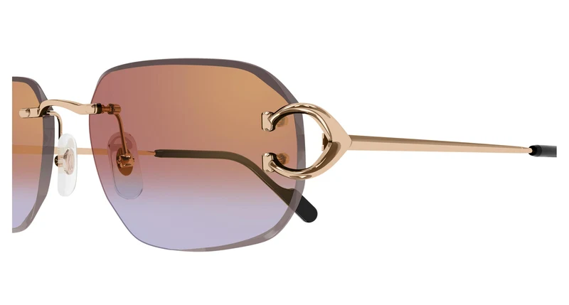 Cartier CT0468S 005 58