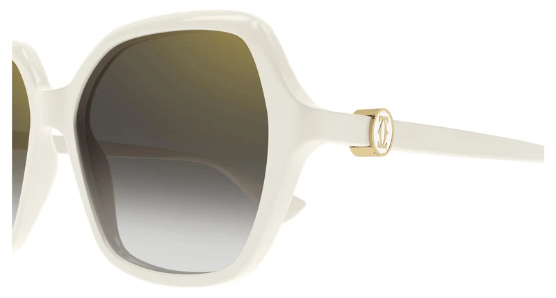 Cartier CT0470S 004 57