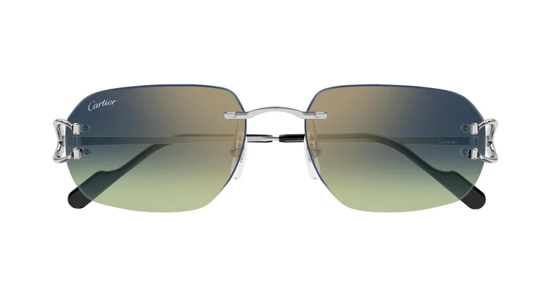 Cartier CT0468S 006 58