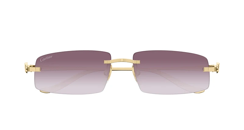 Cartier CT0505S 004 58