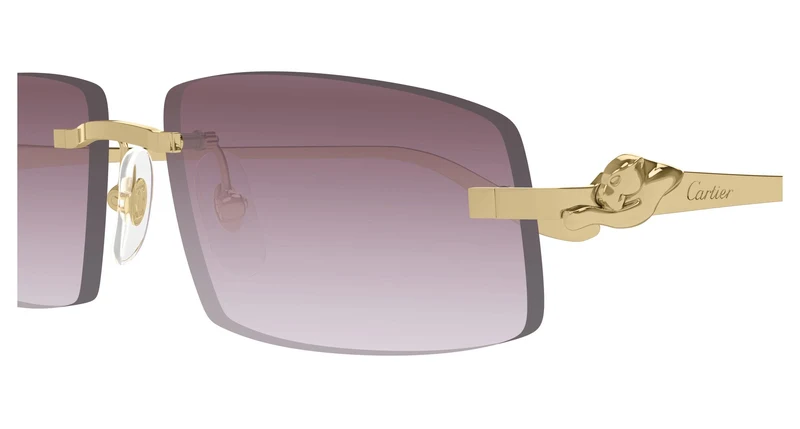 Cartier CT0505S 004 58