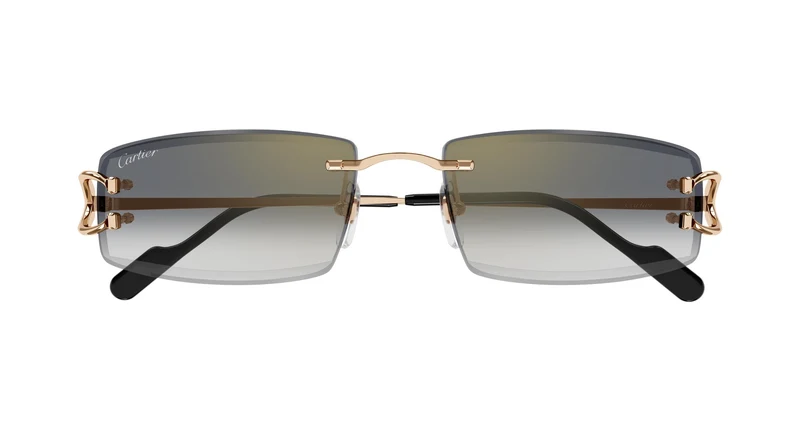 Cartier CT0465S 009 56