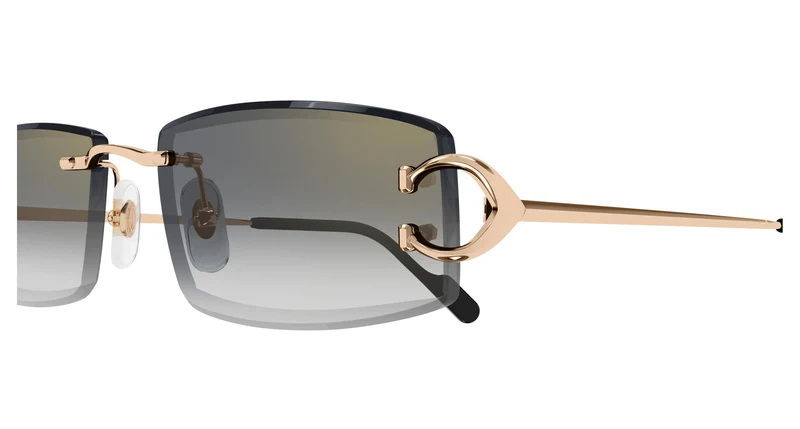 Cartier CT0465S 009 56