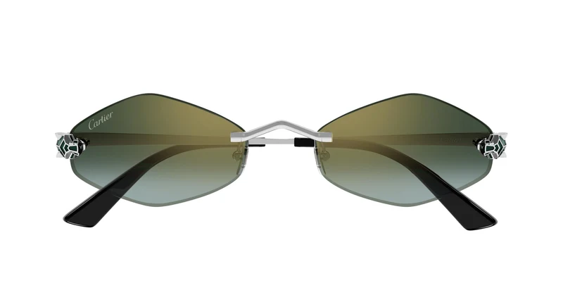 Cartier CT0433S 007 55