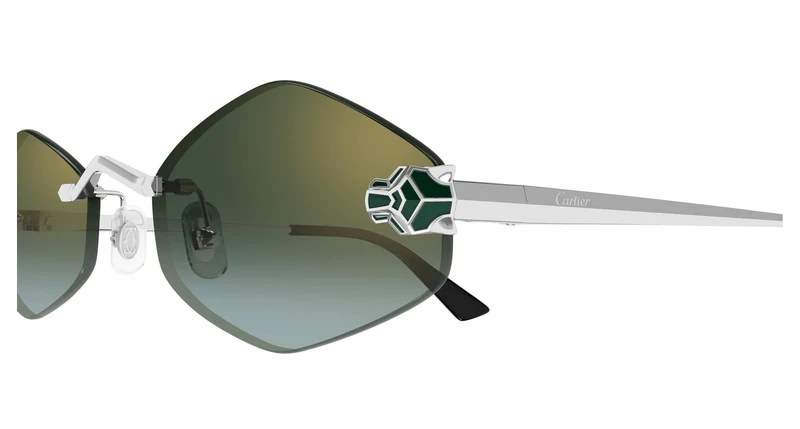 Cartier CT0433S 007 55