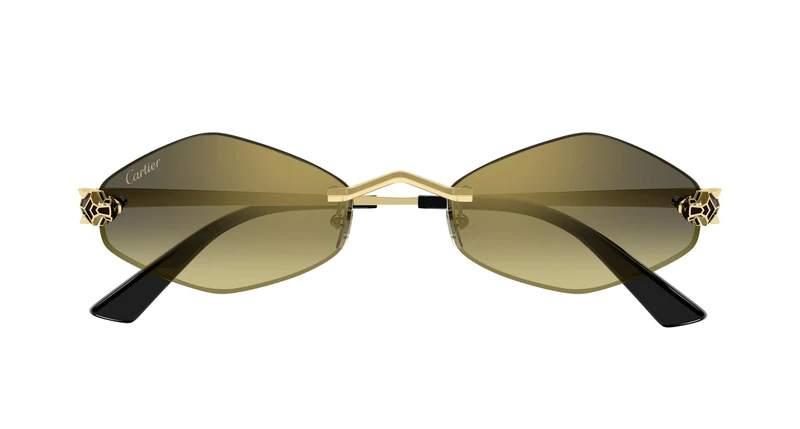 Cartier CT0433S 008 55